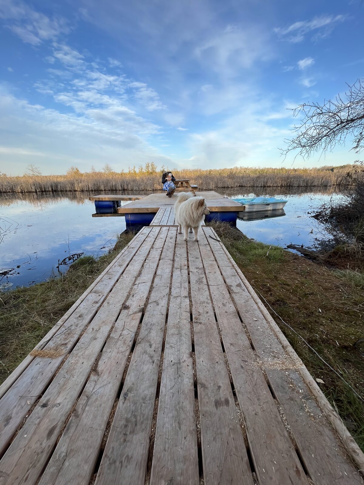 Farmhouse at night under winter stars