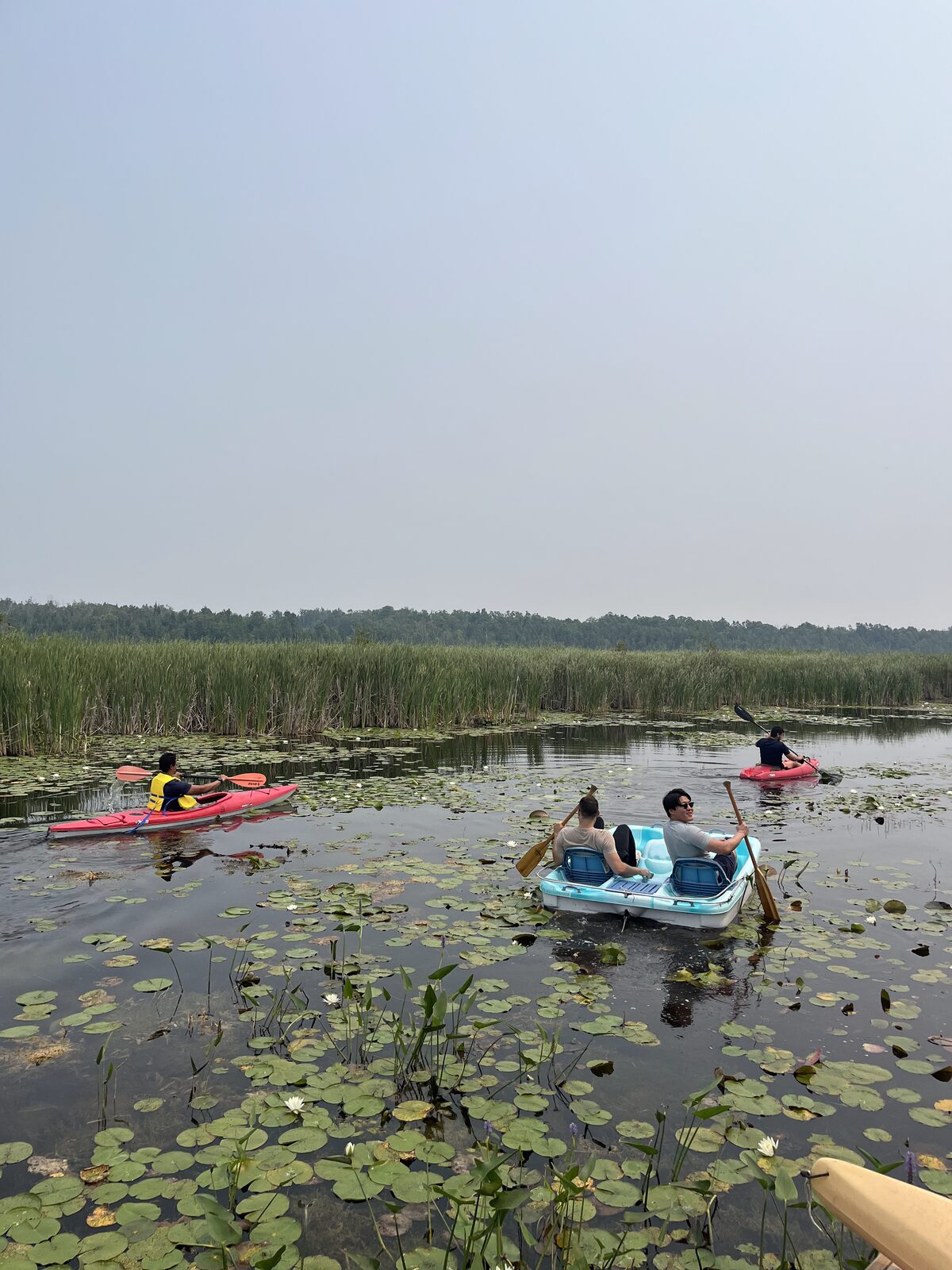 Cozy tiny house interior with loft