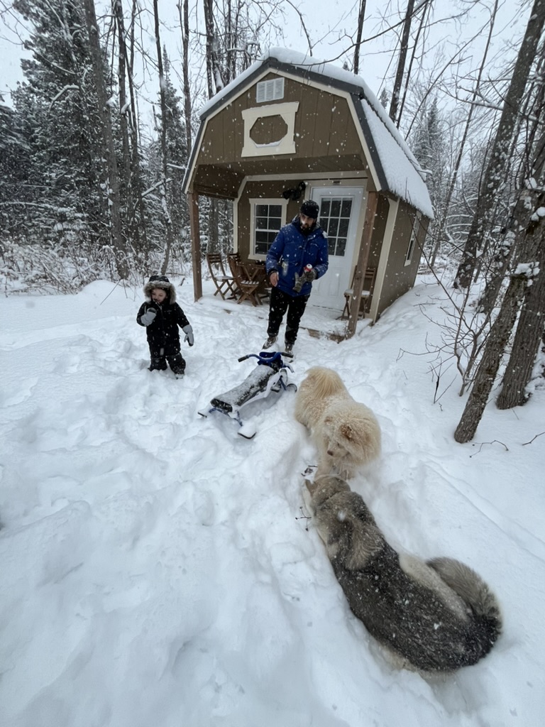Family and dogs playing in fresh snow at the tiny cabin